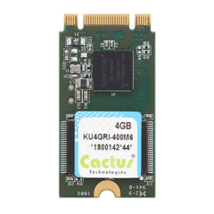 Cactus Industrial Grade Flash Storage